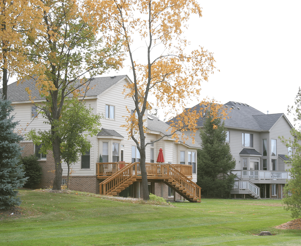 Suburban houses with autumn trees